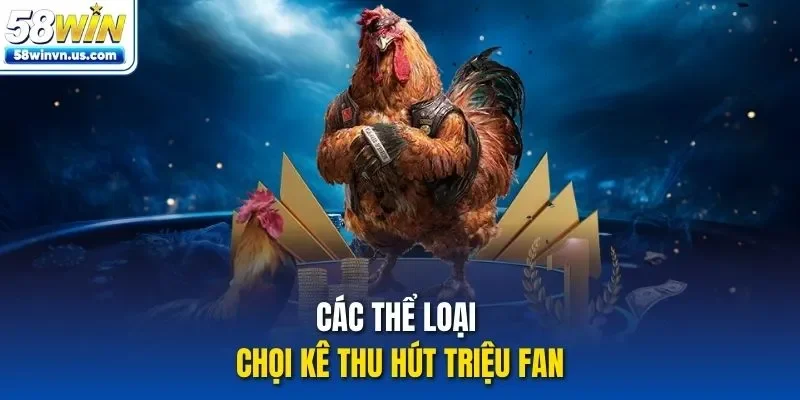 Các thể loại chọi kê thu hút triệu fan